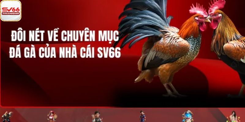 Đôi nét về đá gà SV66