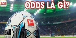 Odds là gì?