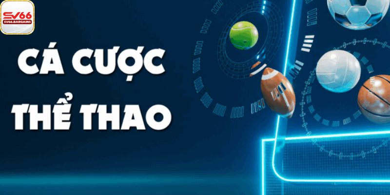 Thông tin sảnh thể thao SV66